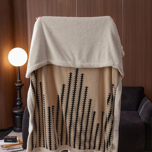 羊羔绒加厚双层阳离子毛毯沙发绒毯子 商品图1