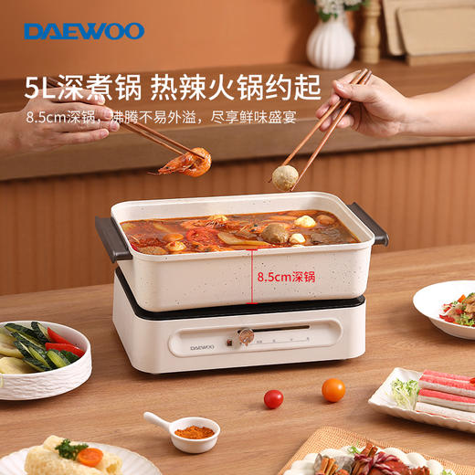 大宇多功能料理锅DYZG-451 商品图3