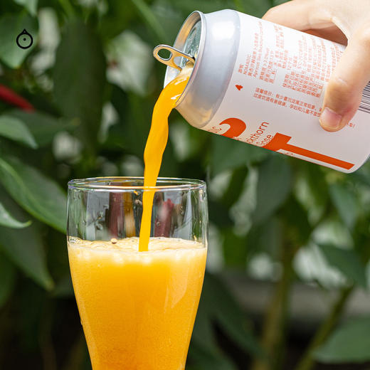 企鹅市集|南京制乐厂 风土系列 精酿套装 山竹龙眼荔枝/酸角酸梅酸木瓜/黄杏沙棘胡萝卜/橄榄油柑黄皮 啤酒 商品图3