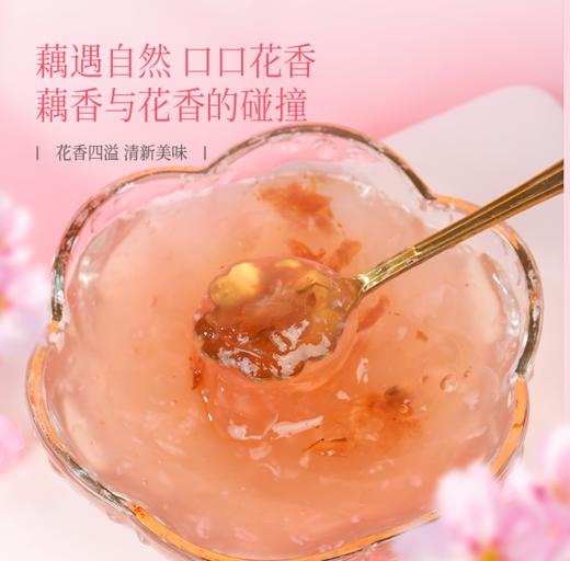 樱花系列藕粉正品速溶粉羹营养代早餐含樱花酱 商品图2