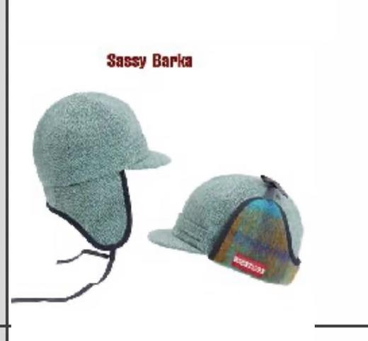 雾霾雷锋2.0 250114 商品图0