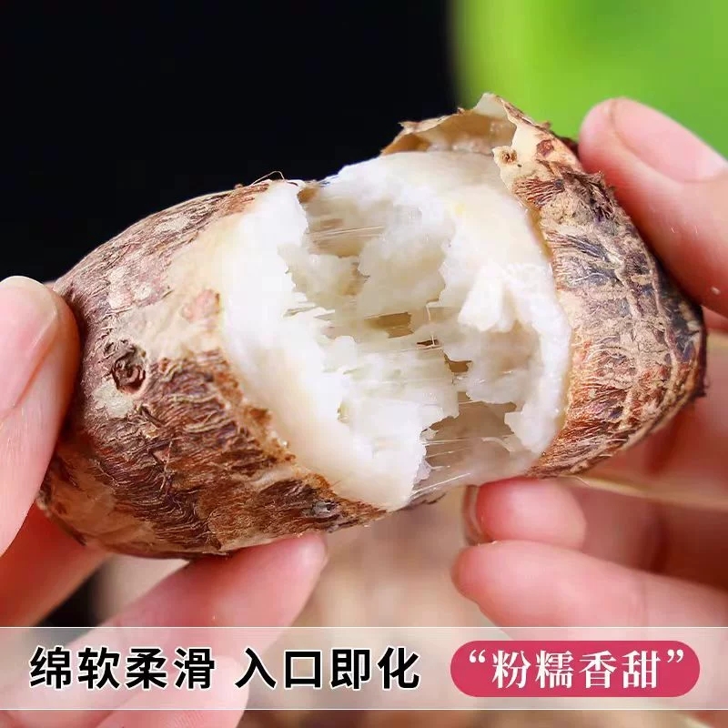 牛奶芋头 当天现挖肉质细腻 口感绵密软糯皮薄