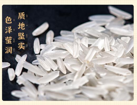 【2025新米】象牙香米 多规格【基地直发】 | 产地：江西 | 生产者：姚社长 商品图2