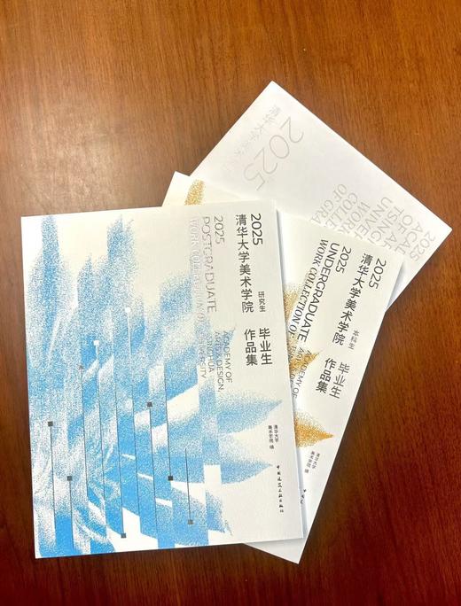 2025清华大学美术学院毕业生作品集（本科生、研究生） 商品图2