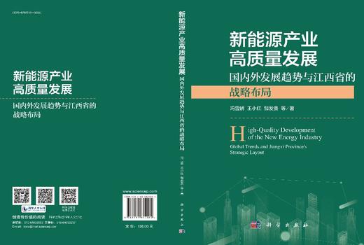 新能源产业高质量发展：国内外发展趋势与江西省的战略布局 商品图3