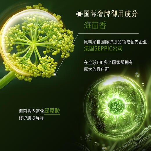海茴香面霜日夜焕肤精华面霜 滋润补水保湿 商品图4