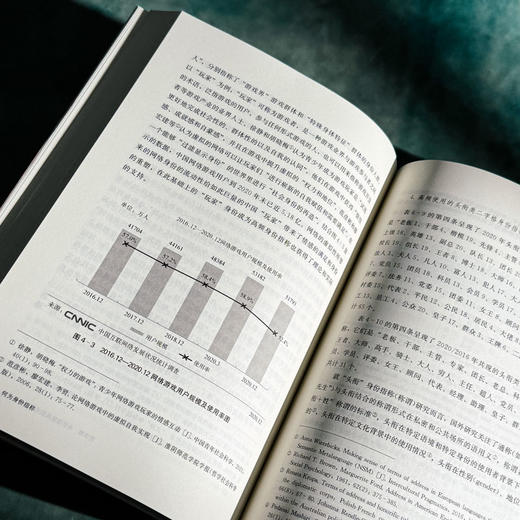 何为身份指称 金志军 语言研究 社会语言学 当代汉语语言生活 商品图10