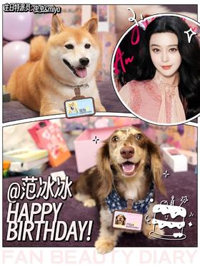 冰冰生日惊喜🎂汪汪队专属祝福已送达！