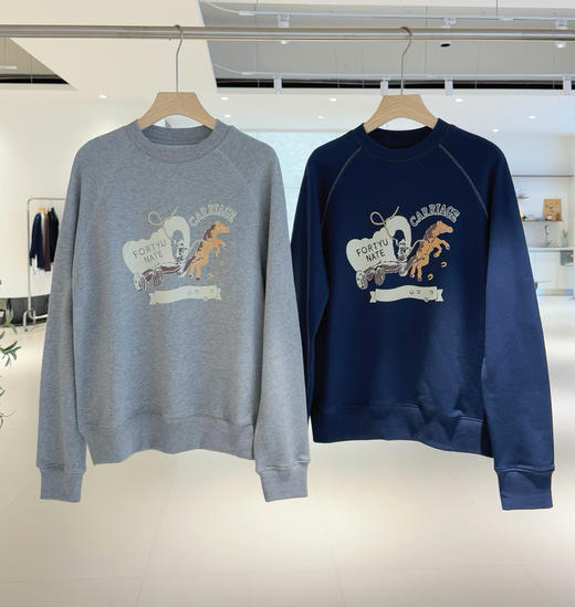 45r情侣毛圈棉卫衣09032 商品图3