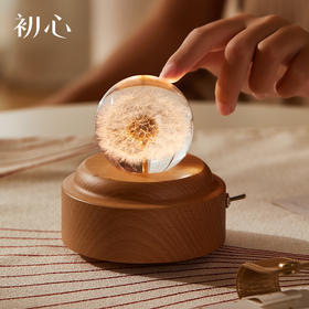 初心| 蒲公英水晶球音乐盒