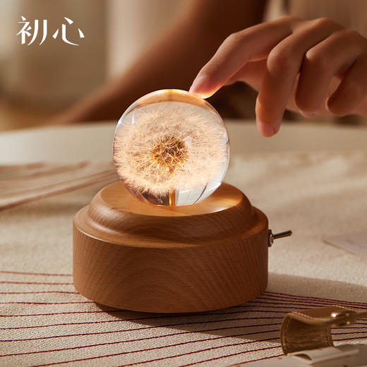 初心| 蒲公英水晶球音乐盒 商品图0