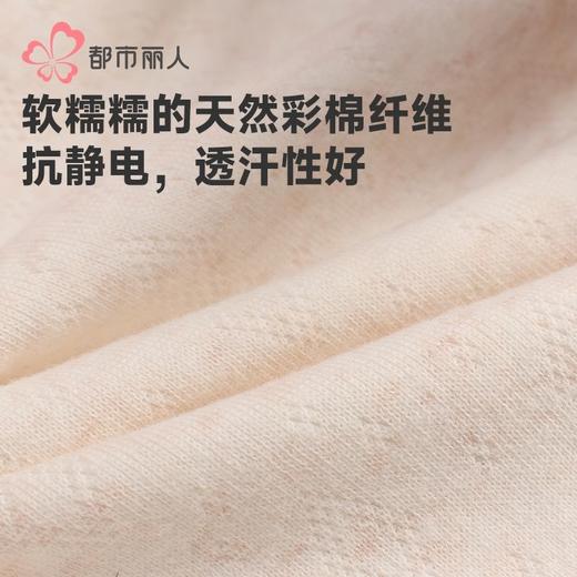 都市丽人女士内裤色纱棉内裤女士平角内裤女内裤纯棉内裤LKH5N4 商品图6