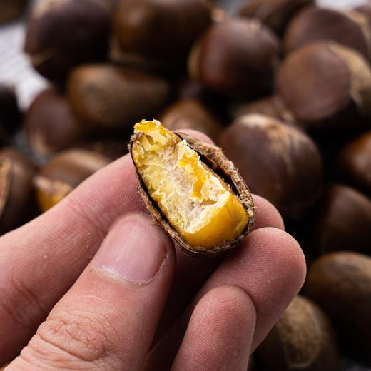 【京东快递】沂蒙山正宗油板栗 高山老树原生态自然生长 熟吃香甜粉糯 生吃甜脆AQM 商品图2