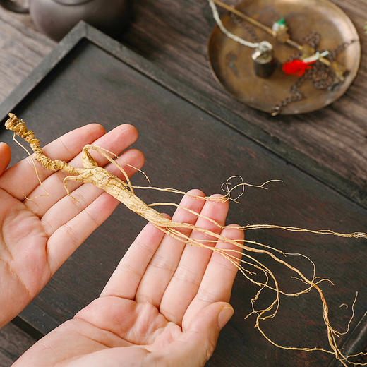 胡庆余堂15年足龄野山参4.5-4.7/4.8-5.0克礼盒装  带国检证书 商品图2