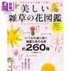 【中商原版】美丽的杂草花图鉴 日文原版日韩 美しい雑草の花図鑑 商品缩略图0