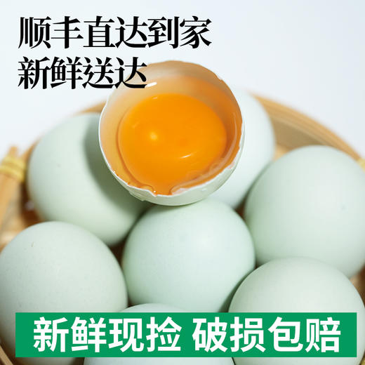【森哥优选】竹林蛋 绿壳鸡蛋 土鸡蛋 30枚  质保期短产品不支持七天无理由，售后需要开箱视频哦，确认再下单哈 商品图3
