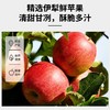 李时珍出品 BYOUNGER×营养食光苹果干 新疆伊犁苹果 配料只有苹果 三蒸三晒 膳食纤维 商品缩略图1
