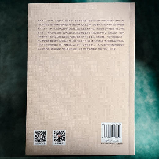 何为身份指称 金志军 语言研究 社会语言学 当代汉语语言生活 商品图2