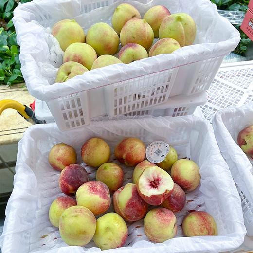 新疆珍珠枣蜜桃 油桃 商品图3