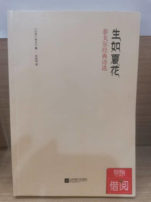 【独家旧书3折】生如夏花 二手书籍（新疆 西藏 甘肃 青海 海南不发货）bj 商品图0