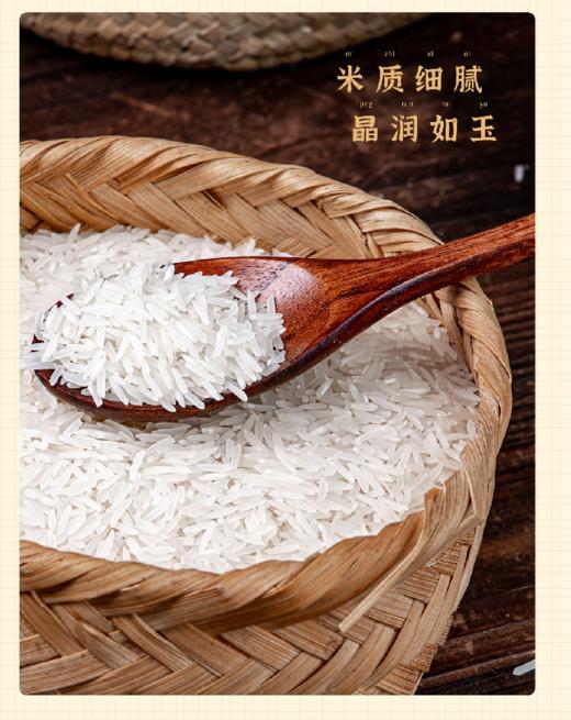 【2025新米】象牙香米 多规格【基地直发】 | 产地：江西 | 生产者：姚社长 商品图4