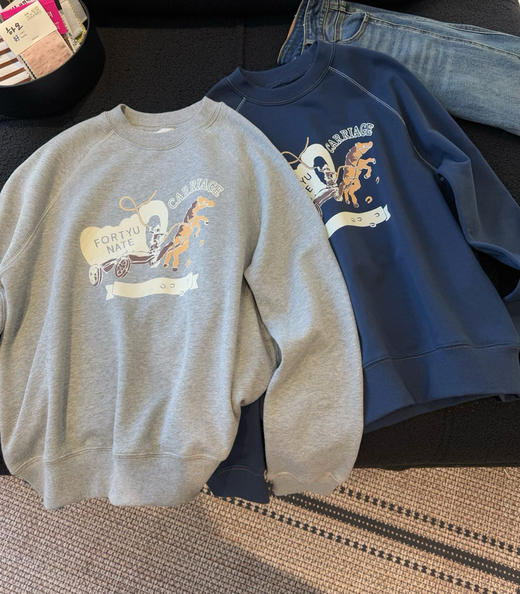 45r情侣毛圈棉卫衣09032 商品图0