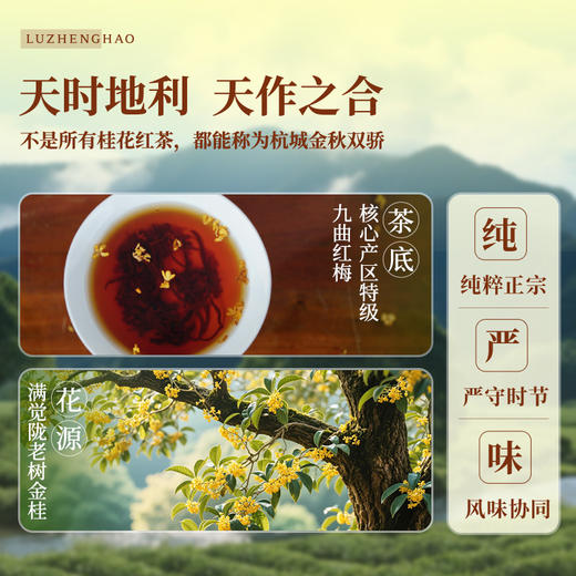 卢正浩特色满觉陇桂花红茶桂花九曲红梅48g 商品图1