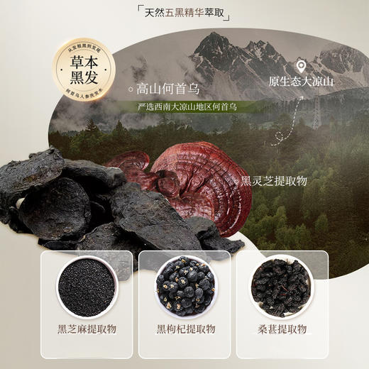 热卖！五黑植萃 滋养头皮 欧橘Orginese 何首乌人参净澈头皮毛囊洗发水 500ml/瓶 商品图5