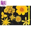 【中商原版】美丽的杂草花图鉴 日文原版日韩 美しい雑草の花図鑑 商品缩略图2