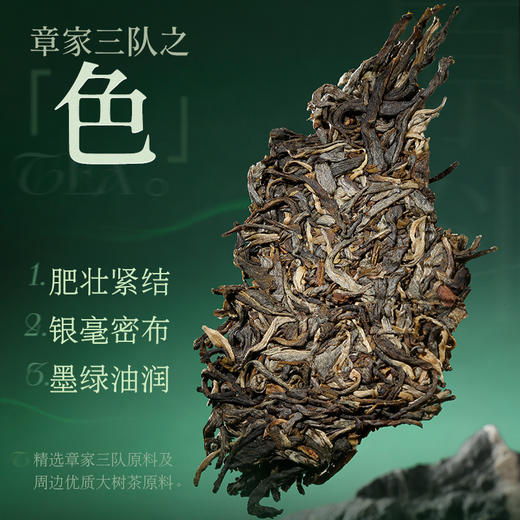 陈升号 2025年章家三队357g（生茶） 商品图1