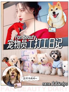 人，泥嚎！你的工友已到岗🐾！