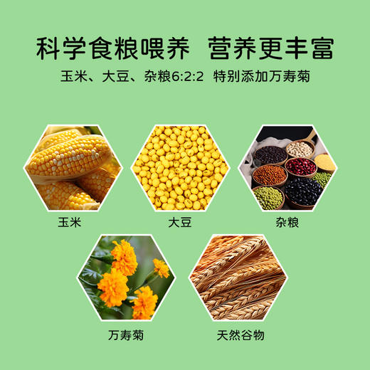 【森哥优选】竹林蛋叶黄素可生食鸡蛋 / 可生食鸡蛋 30枚  质保期短产品不支持七天无理由，售后需要开箱视频哦，确认再下单哈 商品图4