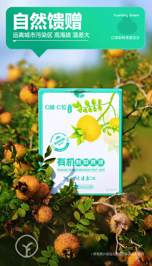 （50ml*10袋）有机刺梨原液 商品图1