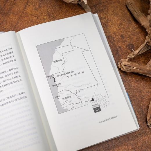 战斗吧，蝗虫博士！：昆虫学家的撒哈拉历险 商品图2