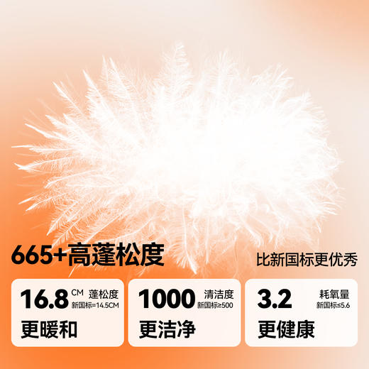 男女童短款羽绒服冬季新款安奈儿童装EM545630 商品图2