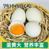 【森哥优选】竹林蛋 绿壳鸡蛋 土鸡蛋 30枚  质保期短产品不支持七天无理由，售后需要开箱视频哦，确认再下单哈 商品缩略图2