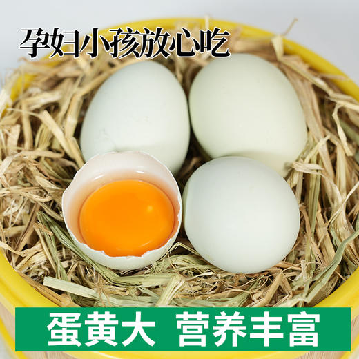 【森哥优选】竹林蛋 绿壳鸡蛋 土鸡蛋 30枚  质保期短产品不支持七天无理由，售后需要开箱视频哦，确认再下单哈 商品图2
