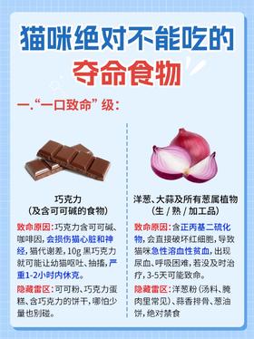 ⚠️养猫家庭必看｜这些 “夺命食物” 千万别喂！