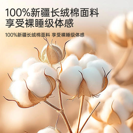 长绒棉大豆蛋白被 商品图2