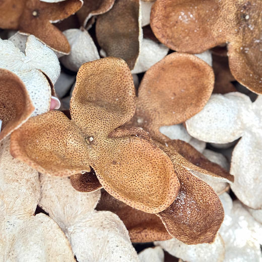 【娘娘甄选】梅江二红（超浓梅子味）陈皮·一线产区·不退不换·本品不参与满赠满减 商品图2