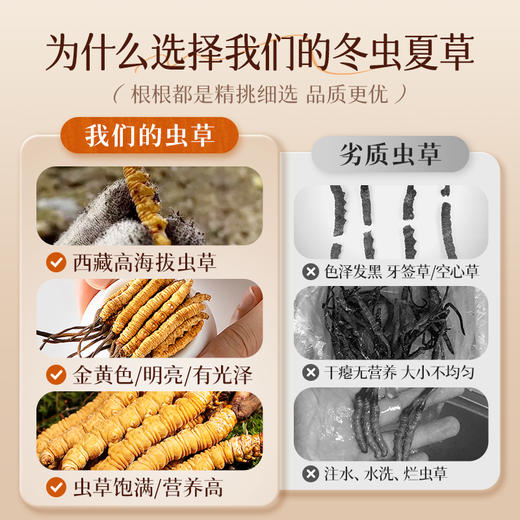 【冬虫夏草】高品质虫草 品牌严选 自用实惠袋装 商品图2