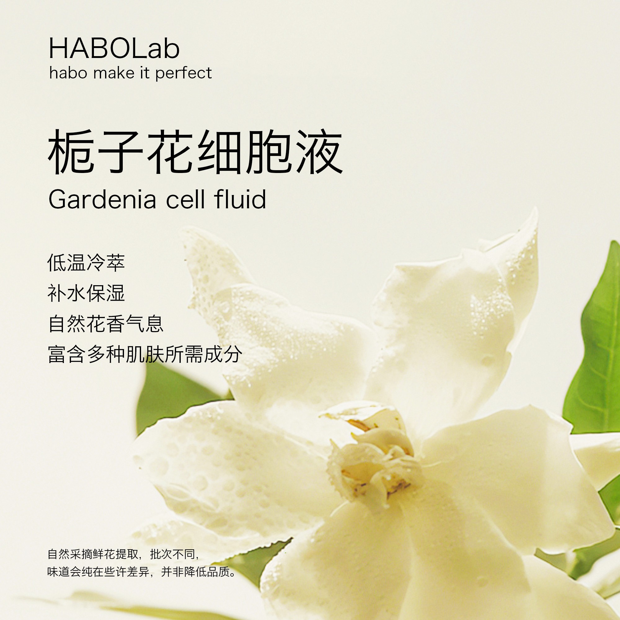 栀子花细胞液天然鲜花植萃低温冷萃花香醇正补水保湿护肤原料