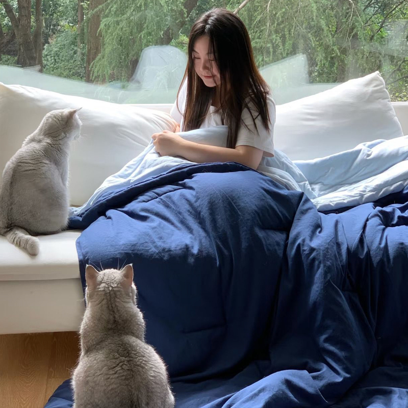 西域楼兰·星级酒店同款控温四季被， 软糯好睡到不想起来，可拆卸子母被设计，四季都实用