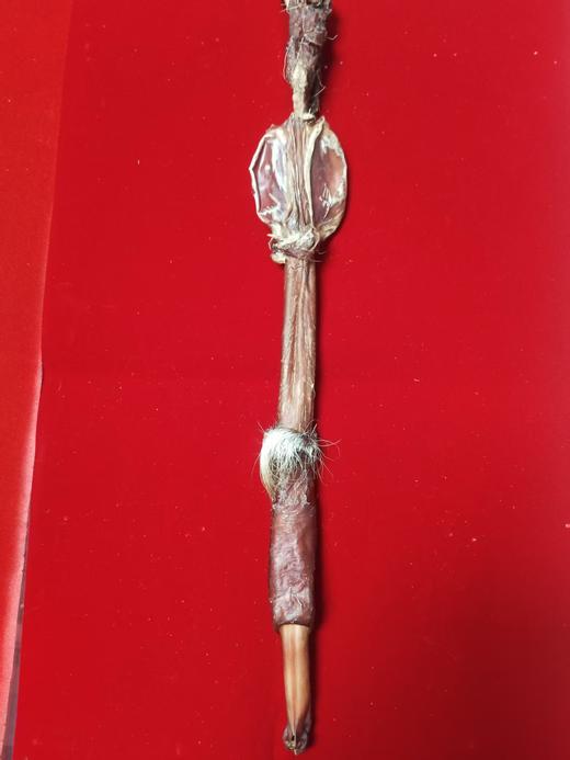 【年货节：送礼盒】整根梅花鹿干鹿鞭清仓 一等品  共40根 商品图2