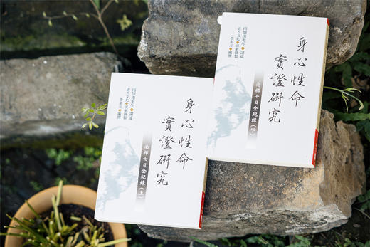 老古正版《身心性命实证研究一一南禅七日全纪录（上、下）》（繁体版）预售中 商品图6