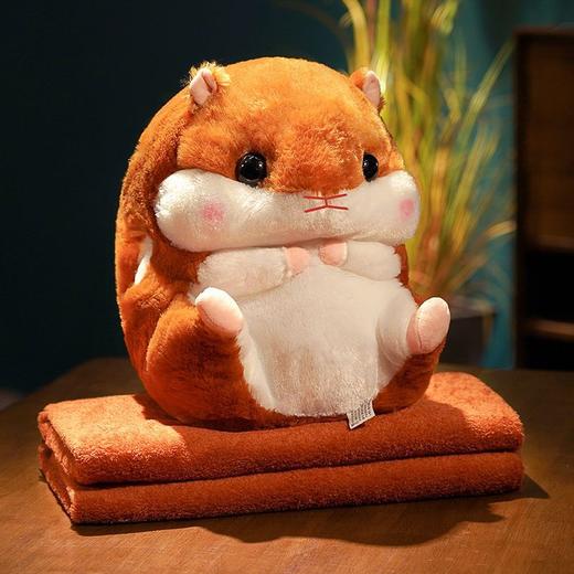 【萌系治愈两用】可爱暖手捂抱枕被子女生男生款睡觉冬季二合一午睡毯子 办公室可暖手可抱睡 两用抱枕毯 商品图7