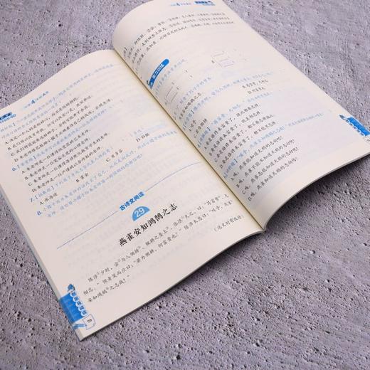 语文阅读同步拓展训练 小学四年级 A版 商品图4