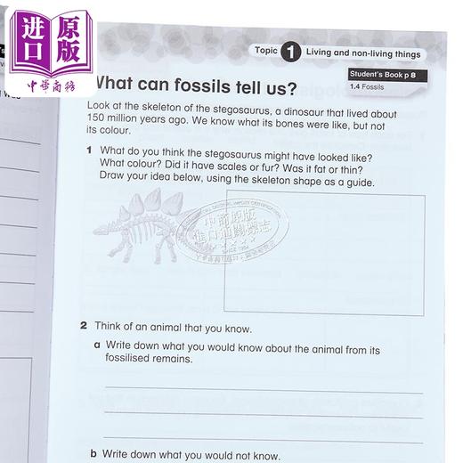 【中商原版】Collins International Primary Science Workbook 3柯林斯国际小学科学练习册3 英文原版 剑桥 生物化学物理 商品图3