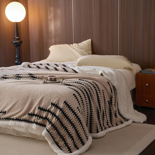 羊羔绒加厚双层阳离子毛毯沙发绒毯子 商品图0