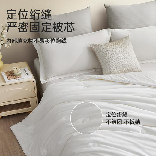 长绒棉大豆蛋白被 商品图4